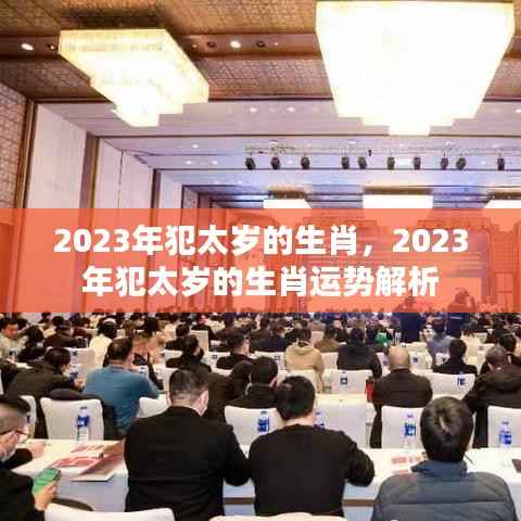 2023年犯太岁的生肖运势大解析