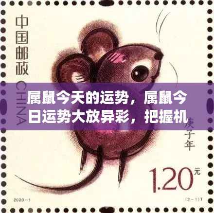 属鼠今日运势璀璨,把握机遇成就辉煌