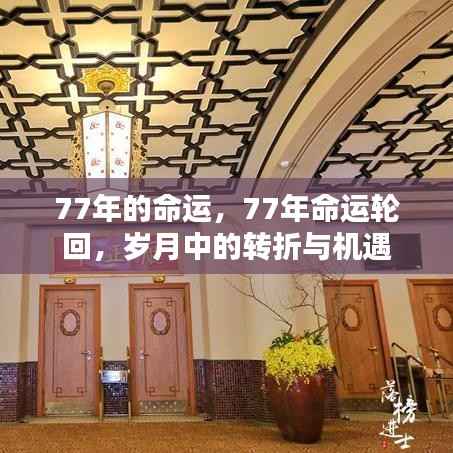 岁月轮回下的转折与机遇,探寻命运中的77年之谜