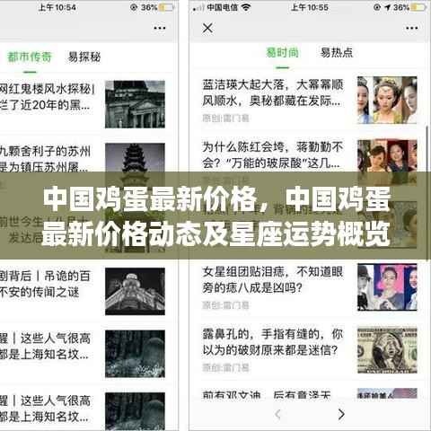 中国鸡蛋最新价格动态与星座运势概览