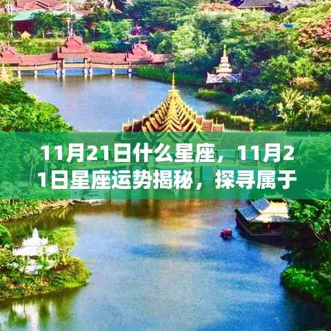 揭秘11月21日星座运势与星辰轨迹,探寻属于你的星座命运