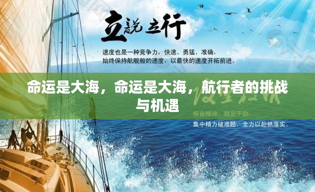 命运如大海,航行者的挑战与机遇并存
