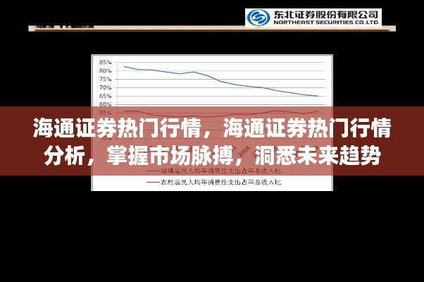 海通证券行情解析,洞悉市场趋势,引领未来投资之道
