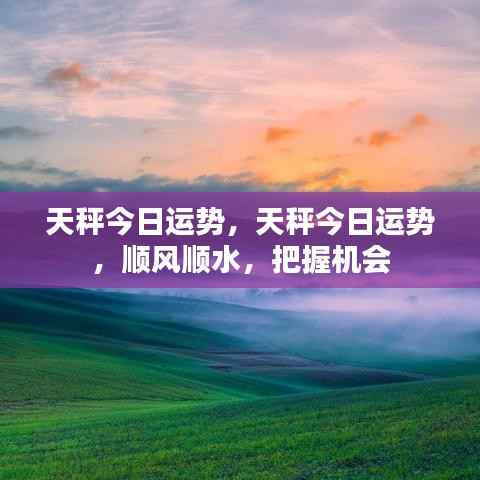 天秤今日运势顺风顺水,把握机会大揭秘