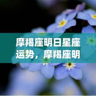 摩羯座明日运势,稳健前行,机遇与挑战并存的日子