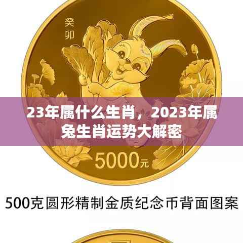 2023年属兔生肖运势大解密,揭秘属兔人在事业、财运、感情等方面的运势走向