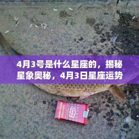 揭秘星象奥秘,4月3日星座深度解析与运势展望