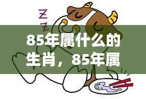 85年属牛人的生肖运势全面解密