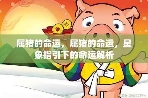 属猪人的命运解析与星象指引