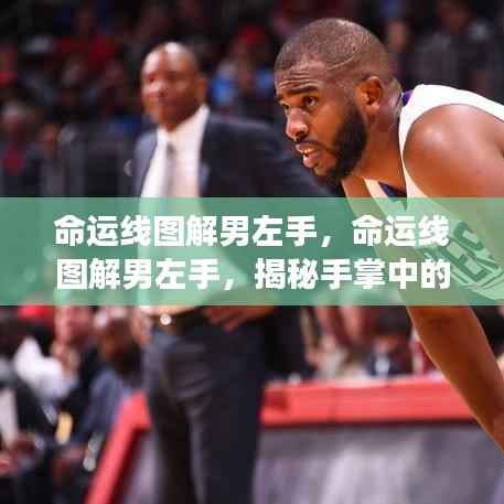 揭秘男左手命运线图解,探寻手掌中的未来密码