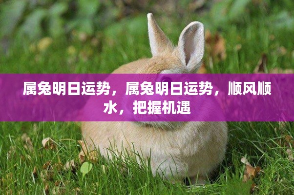 属兔明日运势展望,顺风顺水,机遇把握之时