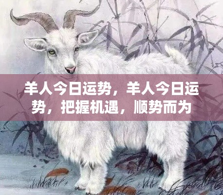 羊人今日运势揭秘,把握机遇,顺势而为的策略