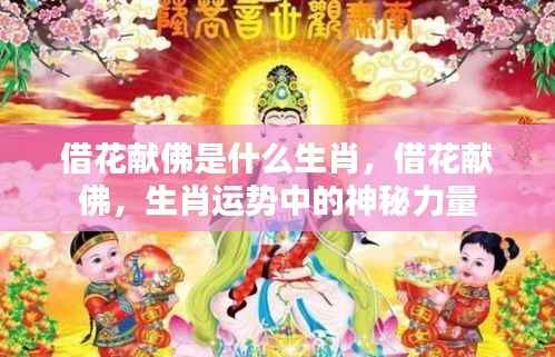 借花献佛,揭秘生肖运势中的神秘力量