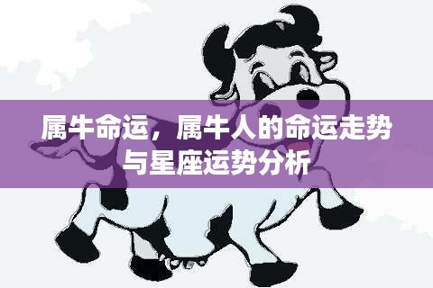 属牛人的命运走势详解,星座与命运分析