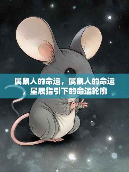 属鼠人的命运,星辰指引下的命运轮廓探索