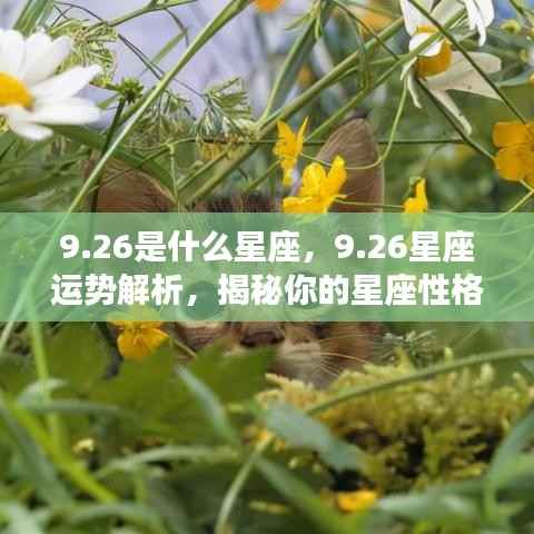 26星座运势深度解析,揭秘性格与未来走向
