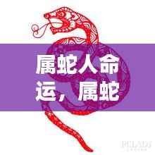 属蛇人的命运走势揭秘,宿命与机遇的交织