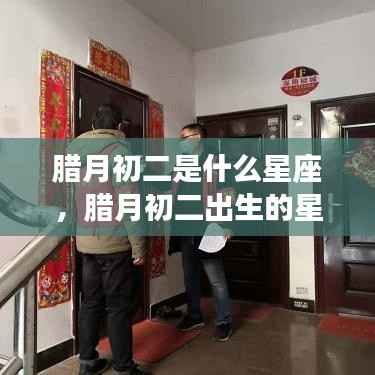 腊月初二星座运势解析,探寻星座运势之旅