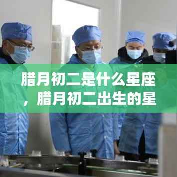 腊月初二星座运势解析,探寻星座运势之旅