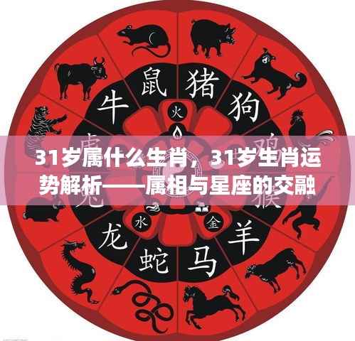 31岁生肖运势解析,属相与星座交融的奥秘