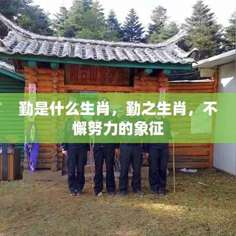 勤之生肖,不懈努力的象征揭秘