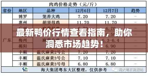最新鸭价行情查看指南,助你洞悉市场趋势!