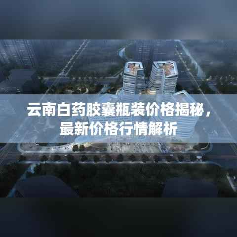 贵不可言 第3页