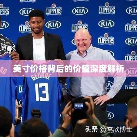 美寸价格背后的价值深度解析