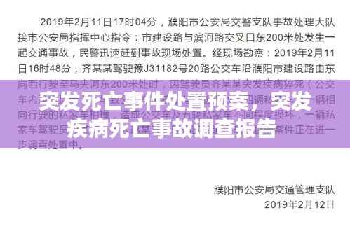 突发死亡事件处置预案,突发疾病死亡事故调查报告