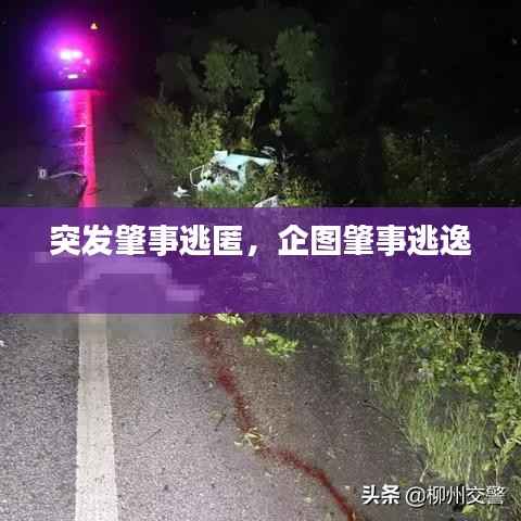 突发肇事逃匿,企图肇事逃逸