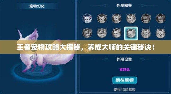 王者宠物攻略大揭秘,养成大师的关键秘诀!