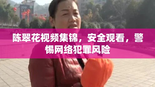 陈翠花视频集锦,安全观看,警惕网络犯罪风险