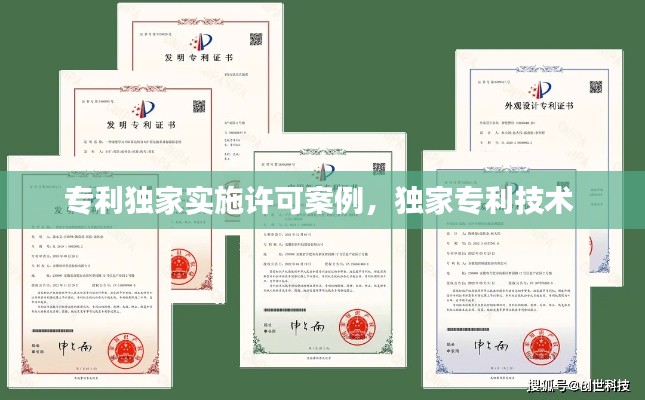 专利独家实施许可案例,独家专利技术