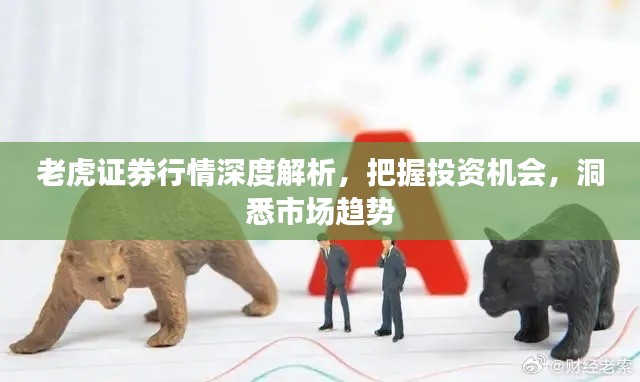老虎证券行情深度解析,把握投资机会,洞悉市场趋势