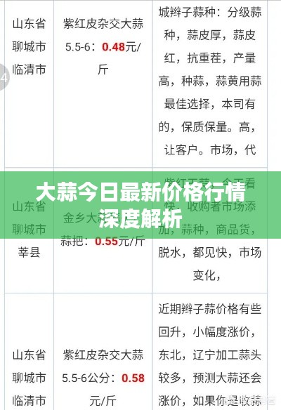 大蒜今日最新价格行情深度解析
