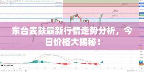 东台麦麸最新行情走势分析,今日价格大揭秘!