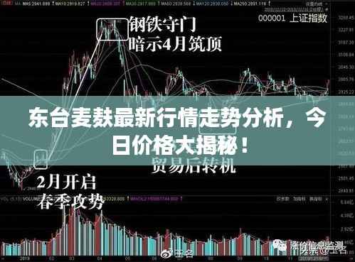 东台麦麸最新行情走势分析,今日价格大揭秘!