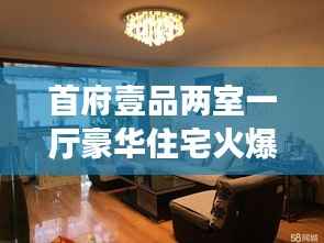 首府壹品两室一厅豪华住宅火爆出售中!