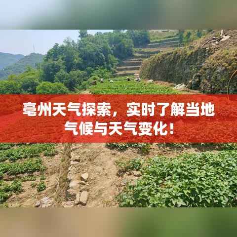 亳州天气探索,实时了解当地气候与天气变化!