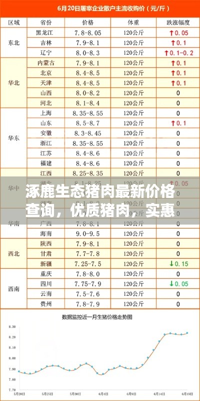 空前绝后 第3页
