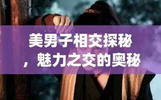 美男子相交探秘,魅力之交的奥秘全解析