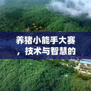 养猪小能手大赛,技术与智慧的巅峰对决!