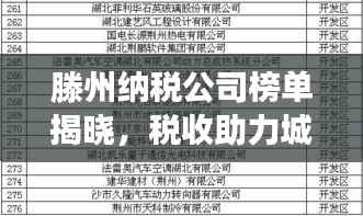滕州纳税公司榜单揭晓,税收助力城市蓬勃发展