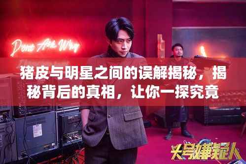 猪皮与明星之间的误解揭秘,揭秘背后的真相,让你一探究竟!