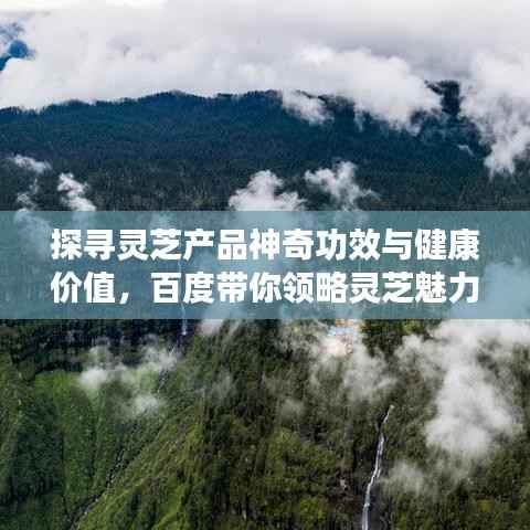 探寻灵芝产品神奇功效与健康价值,百度带你领略灵芝魅力!