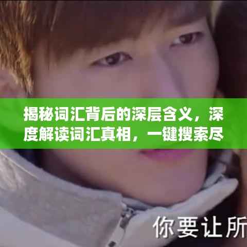 揭秘词汇背后的深层含义,深度解读词汇真相,一键搜索尽在百度!