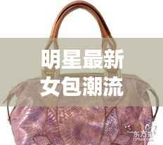 明星最新女包潮流趋势深度解析