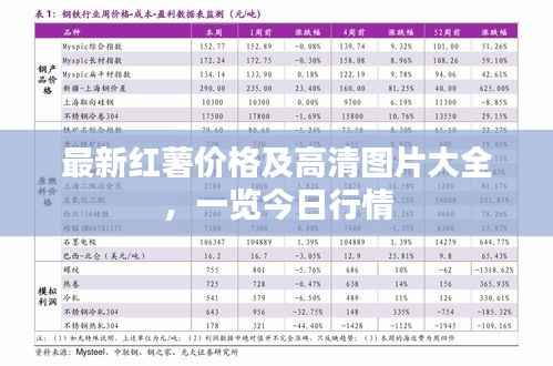 最新红薯价格及高清图片大全,一览今日行情