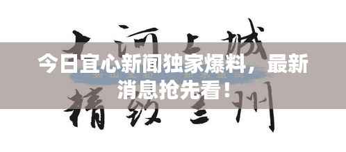 今日宜心新闻独家爆料,最新消息抢先看!