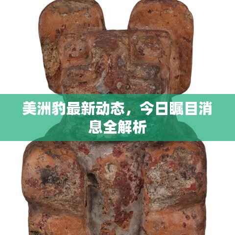 美洲豹最新动态,今日瞩目消息全解析